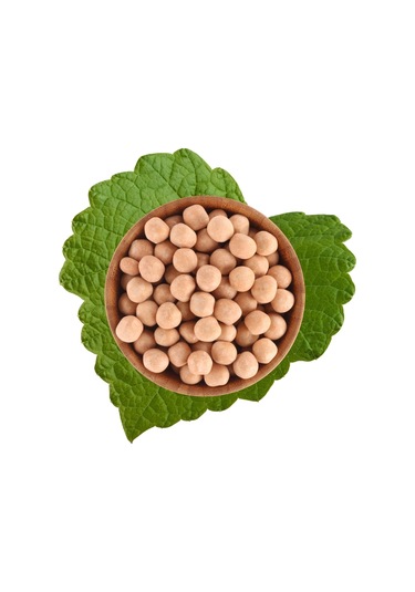 Antik Çıtır Leblebi 500 G