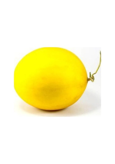 Ithal Minik Saksı Kavunu Tohumu Ekim Seti