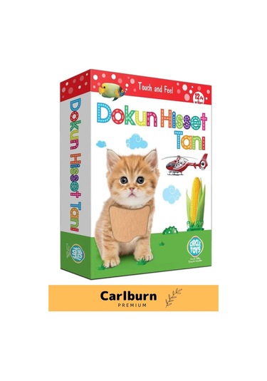 Özel Üretim Duyusal Gelişim Görsel Algı Eğlenceli Öğrenme Çocuk Dokun Hisset Tanı Eğitim Kartları