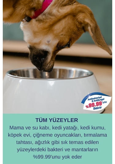 Resteril Parfümsüz Kedi Kumu Tuvaleti Koku  Sprey 750 ML