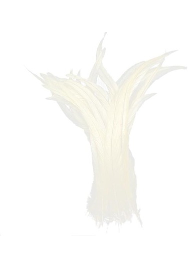 Suntek Toptan Kaliteli Güzel 10 Adet Boyama Horoz Kuyruğu Tüyleri