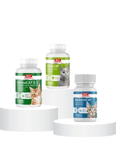 Purecanpati Kedi Multivitamin Biotin Dermacat Seti