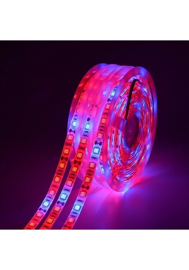 Moly 5m 5050 Smd Bitki Büyüme Işık Şeridi - 60 Led/m - Kırmızı-mavi Ip20 Dc12v Sera/hidroponik Diğer