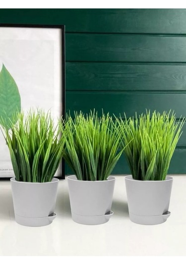 Interm Menekşeler, Sukulentler Ve Kaktüsler İçin Küçük Çiçek Saksısı 211028815