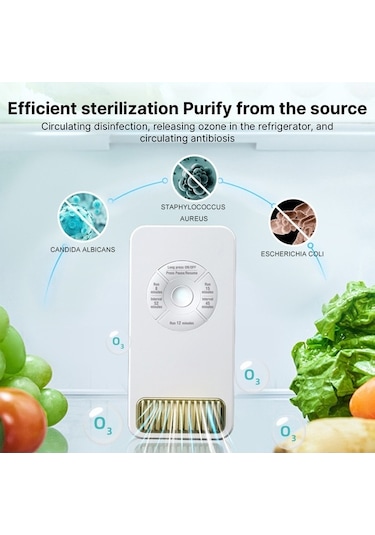 Diğer Zamanlayıcı Vücut Ve Temizleyici Ozon İçin Hava Ev Çalışma Algılama 3 Dl