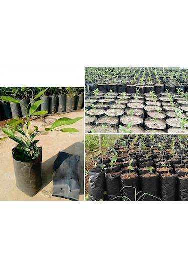 Fidan Poşeti 9X11 cm 100 Adet Körüksüz Fide Poşeti Fide Torbası