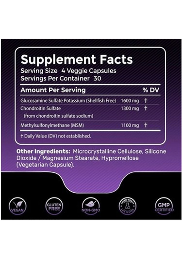 Wellnees Labs Glucosamine + Chondroitin + Msm 4000 120 Kapsül