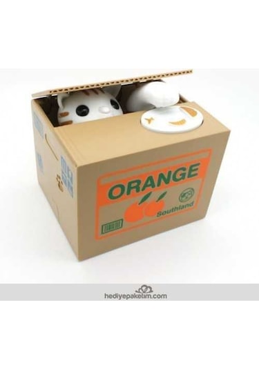 Para Çalan Hırsız Kedi Kumbara