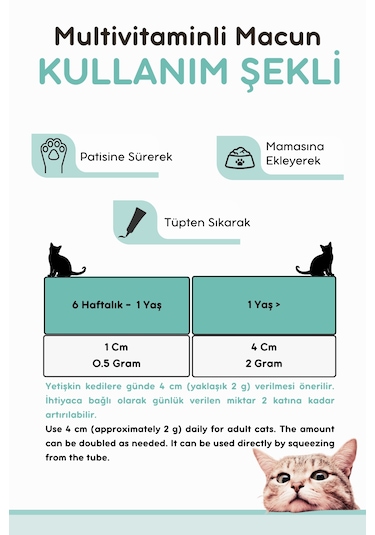Vitpaw Multi Paste 100 G