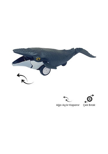 Sürtmeli Hayvanlar 2'li - Orka Balina Ve Dev Balina Hayvan