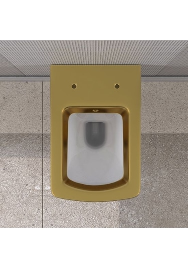 Lucco Loop Asma Klozet İçi Beyaz Dışı Komple Altın