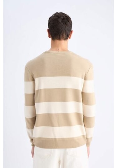 DeFacto Standart Fit Bisiklet Yaka Triko Kazak D1968AX24AUBG295