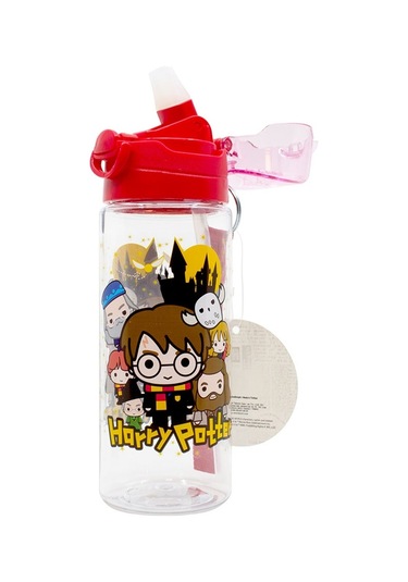 Harry Potter 500ml Matara 2275