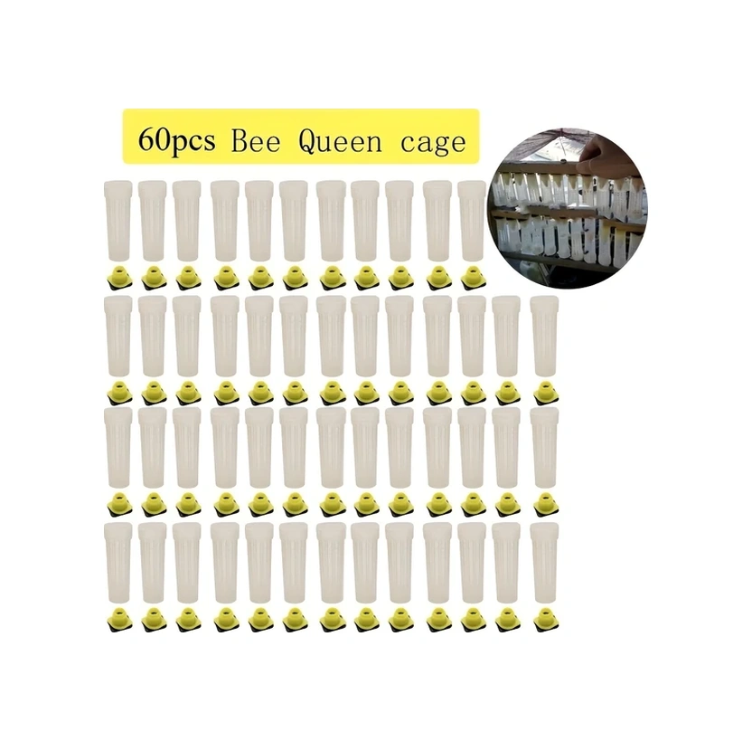 Fochsia 60 Adet Balıkçılık İçin Hücre Kapakları Plastik Koruma Kafesi, Temel Araç