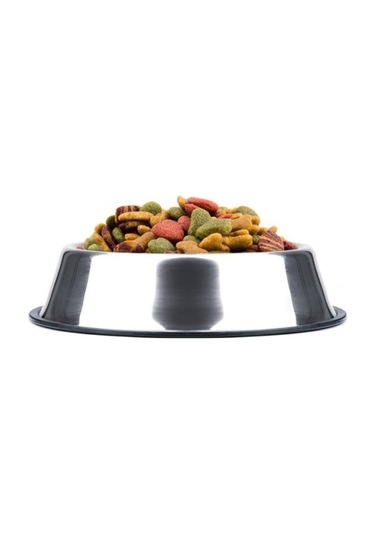 Büro Ev Ofis Evcil Pet Hayvanı İçin 34cm Paslanmaz Çelik Kedi Köpek Beslenme Mama Kabı