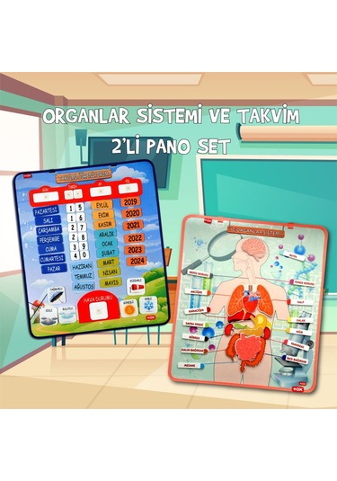 2 Set - 69 Parça Tox Iç Organlar ve Takvimi Öğreniyorum Keçe Cırt