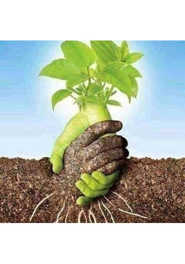 İthal YK3 Torf Cocopeat Perlit ile Çiçek Sebze Tohumu Toprak 20 L