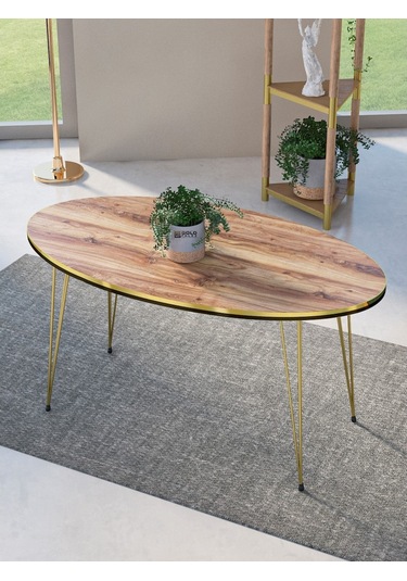 Zigon Sehpa Ve Orta Sehpa Elips Set Çift Gold Ceviz Tel