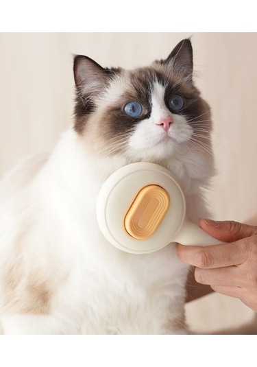 Lichen 2 Adet Evcil Hayvan Tarağı, Kedi Tarağı, Paslanmaz Çelik