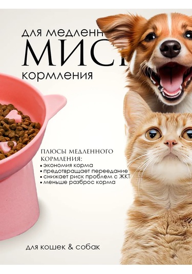 Vektorı Kedi Kabı 391740899