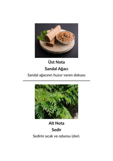 Alescia At-80 Erkek Parfüm EDP 50 ML