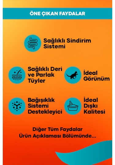 Sensitive Somon Ve Pirinçli Yetişkin Kedi Maması 2kg