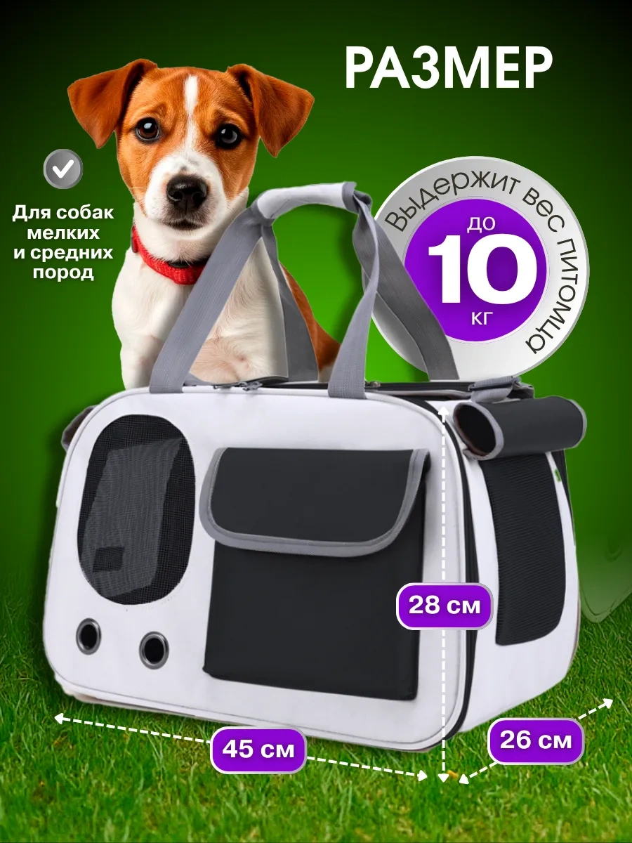 Komfort Pitomca Köpek Taşıma Çantası 475595896