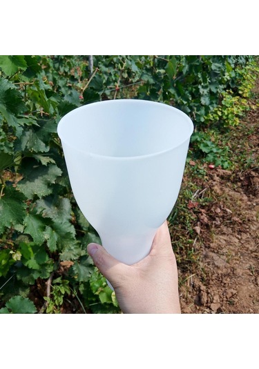 Homyl Üzüm Daldırma Fincanı 8.66x4.72 "aksesuarlar Meyve