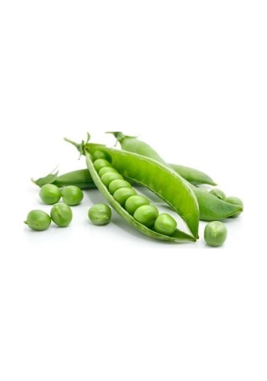 Bt Rondo Utrillo Bezelye Tohumu 500 GR