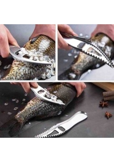 EPİNOX PASLANMAZ BALIK PULU SOYUCU (BPS-19)