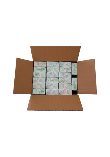 Dr. Eva Nemlendirici Sabun 20'li