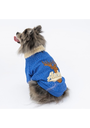 Pawstar Sax Mavi Alaska Esnek, Küçük Irk Triko Köpek Trikosu