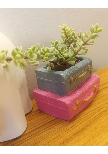 Artepieza Vintage Çift Bavul Saksı- Masaüstü Düzenleyici- Dekoratif Bavul Kalemlik Pembe-gri 12 8 1 Adet