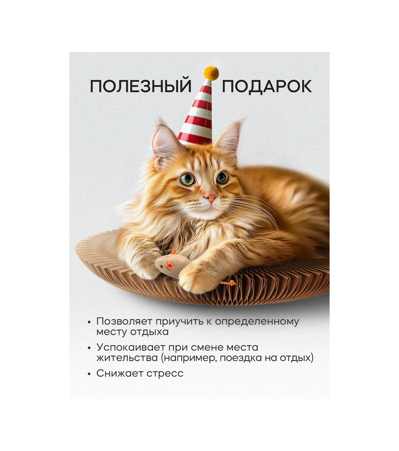 Kogtedralka Kedi Tırmalama Tahtası Yer Tipi Oyuncaklı, Yatak, 2 Adet 283385057