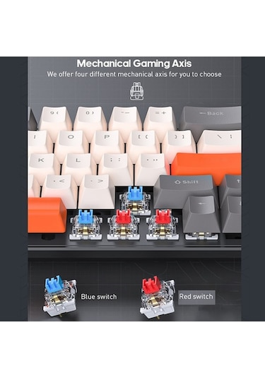 Carrier 68 Tuşlu Mekanik Klavye - Rgb Aydınlatma, 10 Işık Modu,