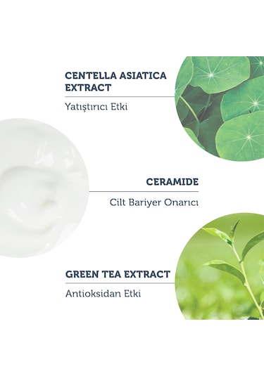 The Purest Solutions Yüksek Güneş Koruyucu SPF50+ Stick 17 G