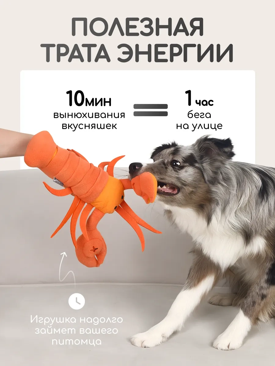 Pet's Boutique Köpekler İçin Yumuşak, Cıvıtmalı Koklama Oyuncağı 325366833