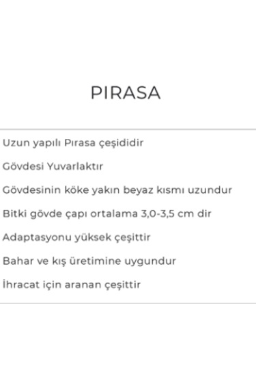 Pırasa Tohumu 25gr
