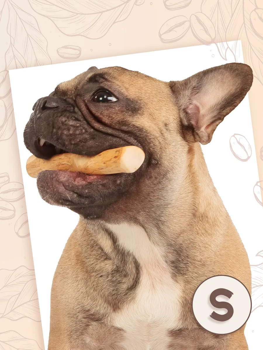 Coffee Wood Kahve Ağacı Çubuk S 103753781