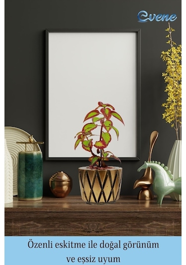 Saksı Çiçek Kaktüs Saksısı Lüx 15 Cm Baklava Desen Saksı Çiçeklik - Altın Eskitme