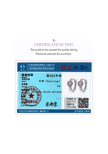 Wostu Otantik 925 Ayar Gümüş Narin Güzel Renkli Aşk Küpe Kadınlar Takı Hediye İçin Diğer