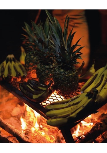 Nurgaz Ateş Üstü Izgara Mini Boy