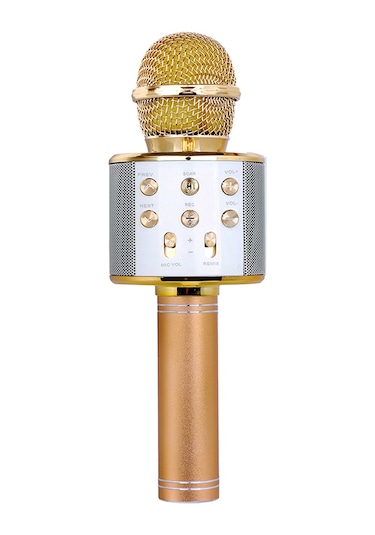 Leezsing Altın Bt Kablosuz Mikrofon Ve Hoparlör Birleşik Cihaz, Üç Katmanlı Gürültü Azaltma, Tf Kart Desteği, Profesyonel Karaoke Deneyimi