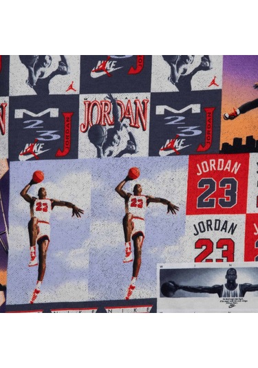 Nike Jordan Posterized Air Çocuk Tişört 95f612-782 Çok Renkli
