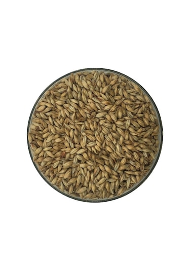 Hitit Malt Münih Arpa Maltı 1 KG