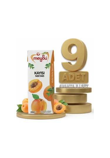 Meysu Nektar Kayısı 9x200 Ml