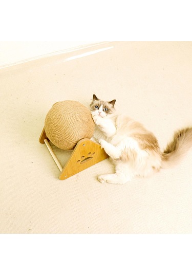 Suntek Kediler, Yavru Köpekler Ve Köpek Egzersizleri İçin Top