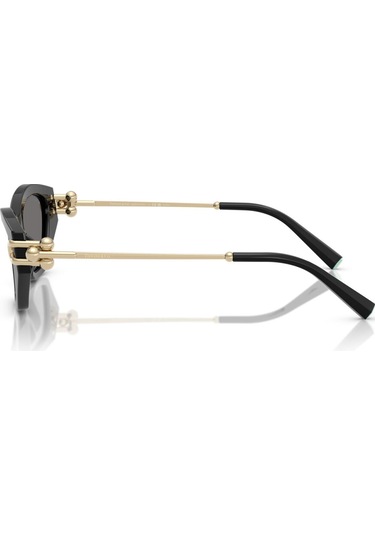 Tıffany 4231u 800181 53-17 Kadın Güneş Gözlüğü