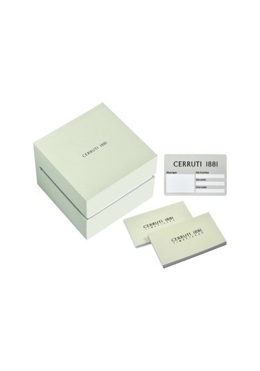 Cerruti 1881 Ciwlg0074007 Kadın Kol Saati Metalik Gri