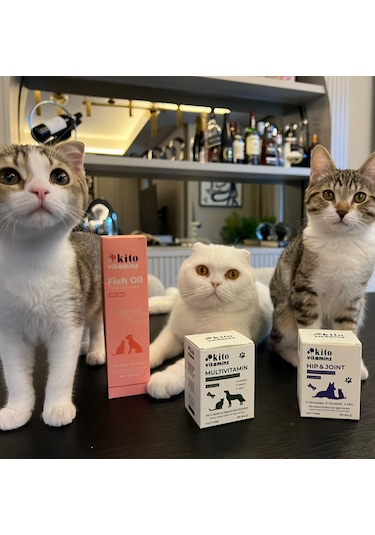 Kito Premium Kedi ve Köpekler İçin Omega 3 & 6 İçerikli Balık Yağı 200 ML